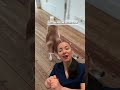 Câinele prinde muște invizibile? Ce poate însemna fly biting-ul