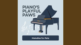 Fetch Game with Piano's Rhythm