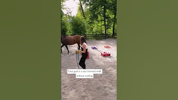Build core strength in your horse with ground poles