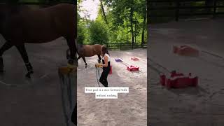 Build core strength in your horse with ground poles