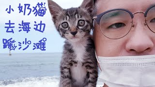 第一次带小奶猫去海边踩沙滩，以为它看到大海，沙滩会害怕，没想到.... by Cats 878 views 3 years ago 7 minutes, 20 seconds