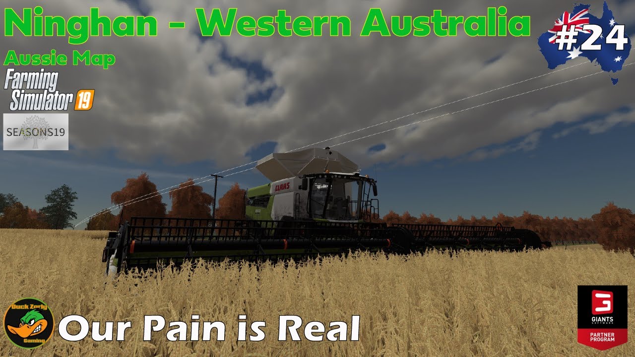 Our Pain is Real - Ninghan Farm - Seasons Series - FS19 - #24