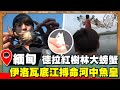 【世界大尋奇】緬甸德拉紅樹林大螃蟹 伊洛瓦底江搏命河中魚皇菜刀豆腐魚｜《世界第一等》濃縮精華版