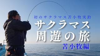 【ジギング】今年の二場所目は苫小牧！！左手負傷でも頑張って釣る【山本啓人】