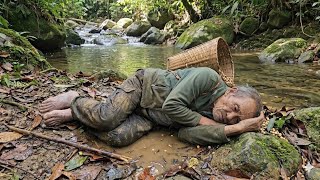 Was $500 Worth the Risk? An 87-Year-Old Grandpa's Forest Journey
