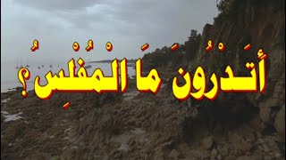 حديث  :   أَتَـدْرُونَ مَـا الْمُفْلِـسُ؟