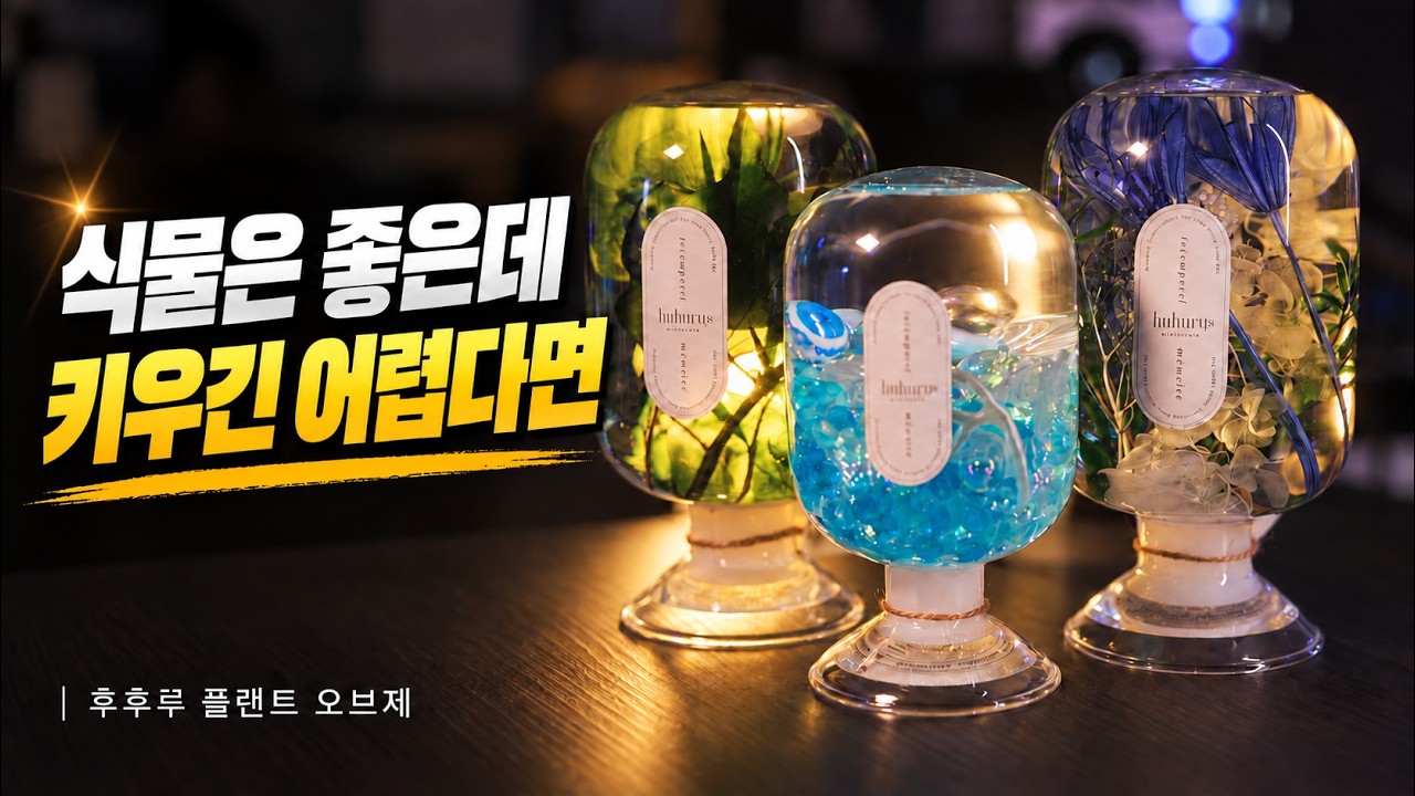 [🎁구독자 이벤트] 주인님 때문에 화분 키우기 어려운 집사의 선택｜후후루 리뷰