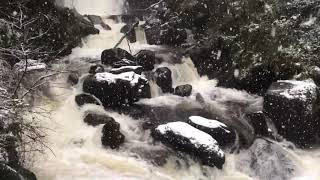 Snow Blankets National Park In Kerry As Ireland Faces Cold Snap