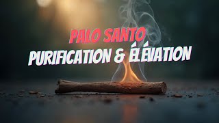 Palo Santo : Comment Purifier Votre Espace Et Élever Votre Énergie