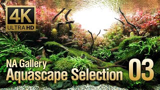 [ADAview] -4K- NA Gallery Aquascape Selection vol.3  ネイチャーアクアリウムギャラリー 水景セレクション3