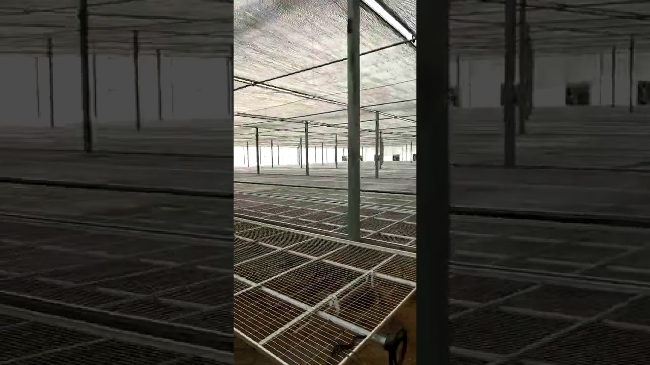 greenhouse contact WhatsApp number +992919279991 YouTube