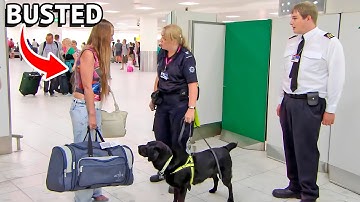 Border Security Chaos! Sniffer Dogs BUST Smugglers