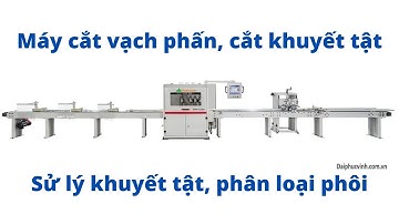 MÁY CẮT VẠCH PHẤN, CẮT KHUYẾT TẬT, CẮT NGANG CAO TỐC WOODMASTER | WM-S260