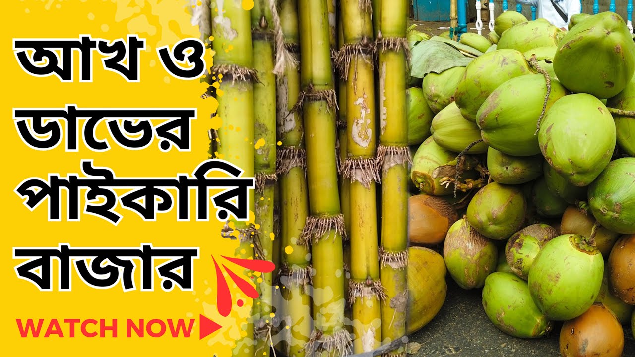 কোলকাতার ডাব ও আখের পাইকারি বাজার  Sealdah wholesale coconut & sugarcane  market October 2024