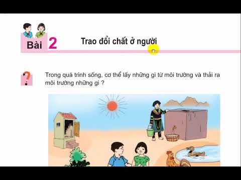 Video KHOA HỌC 4 || BÀI 2: TRAO ĐỔI CHẤT Ở NGƯỜI. - YouTube