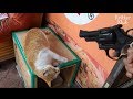 Cat Shows Gratitude To His Owner By Playing Acting Game | Kritter Klub