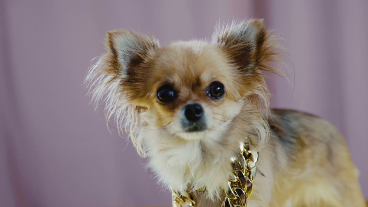 Christof Thewes Quartet