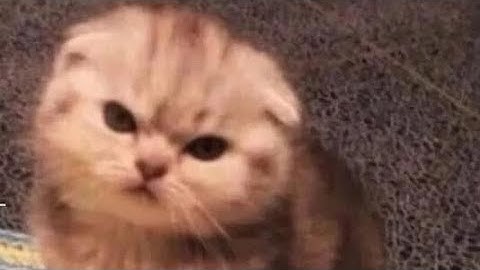 iPhone 11 Making Me Bot 🥺 | BGMI MONTAGE | SAMSUNG A3,A5,A6,A7,J2,J5,J7,S5,S6,S7,59,A10,A20,A30,A50