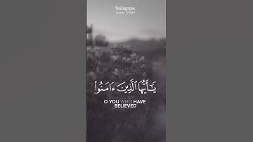 يوم الجمعه لاتنسون قراءه سوره الكهف