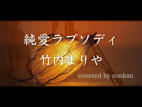 男が歌う！【純愛ラプソディ/竹内まりや（フル歌詞）】～歌ってみた～『covered by sonkan』