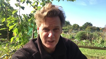 How do you deal with criticism?