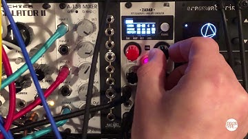 XAOC Devices - ZADAR - Quad Envelope Generator