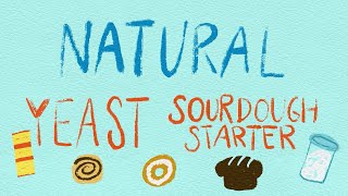 Celebrity What's The Difference Between Yeast and Sourdough Starter? Profile