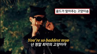 너는 나의 마음을 할퀴네 🐈‍⬛ : Colde (콜드) - 묘 (Cat) [가사/해석/lyrics]
