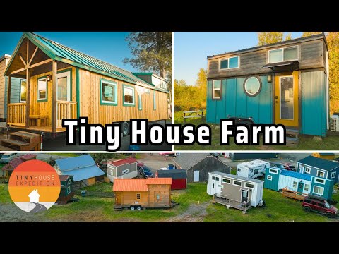 Family's Amazing Tiny House Life - Building, Advocacy & Tiny Hotel!