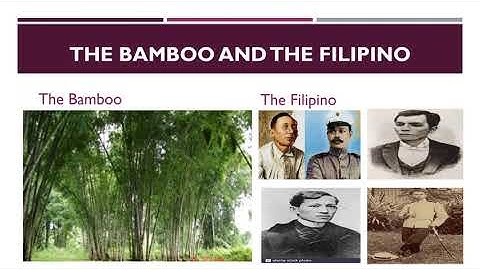 CFLM 1 Module 2   Part 2 Discussion