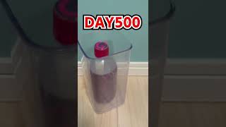 Daily Bottle Flip Challenge Day 797 Genn.