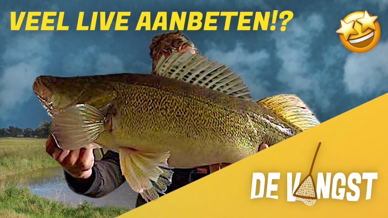 IK VANG EEN PAAR MOOIE SNOEKBAARSEN!? HOE VIS JE OP SNOEKBAARS?! | DE