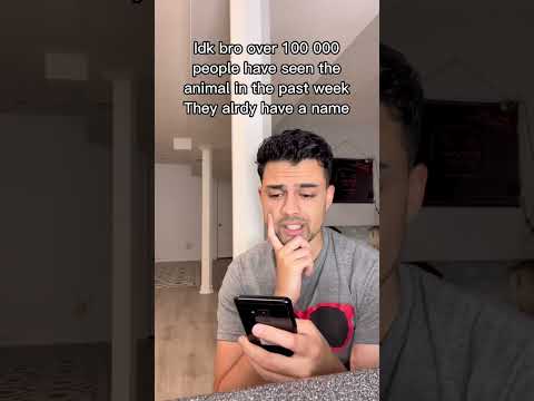 When Scientists Discover A New Animal Shorts 