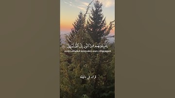قران كريم ارح قلبك وسمعك #قران_في_دقيقة #quran #المصحف #قرآن @قران_في_دقيقة