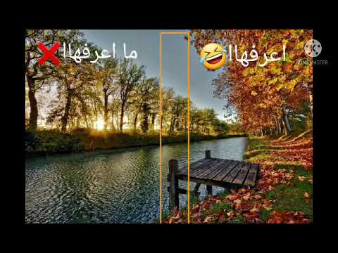 اذا عرفت اغاني طيور الجنه مازلت طفل 