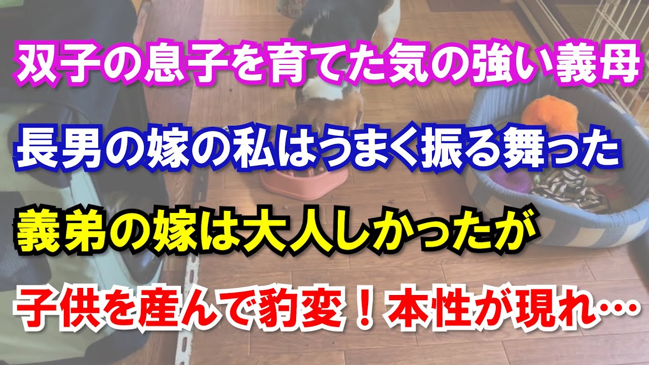 双子の息子を育て上げた気の強い義母。長男の嫁の私はうまく振る舞ってきた。義弟の連れてきた嫁は大人しかったが子供を産んで豹変！本性が現われた時…