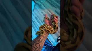 Purple Lavender reticulated python