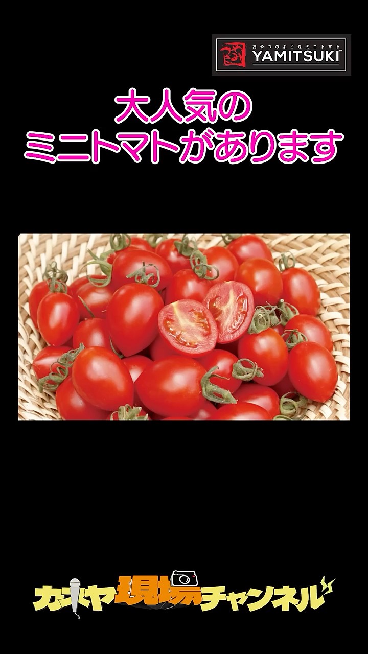 とまと様 甘くておいしい「やみつきトマト」。NDSソリューションさんの運営する