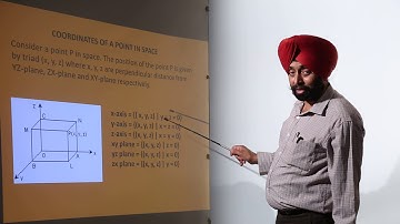 FREE ICSE MATH 11 l Three Dimensional Geometry l Coordinates of a point in a space explanation l L19