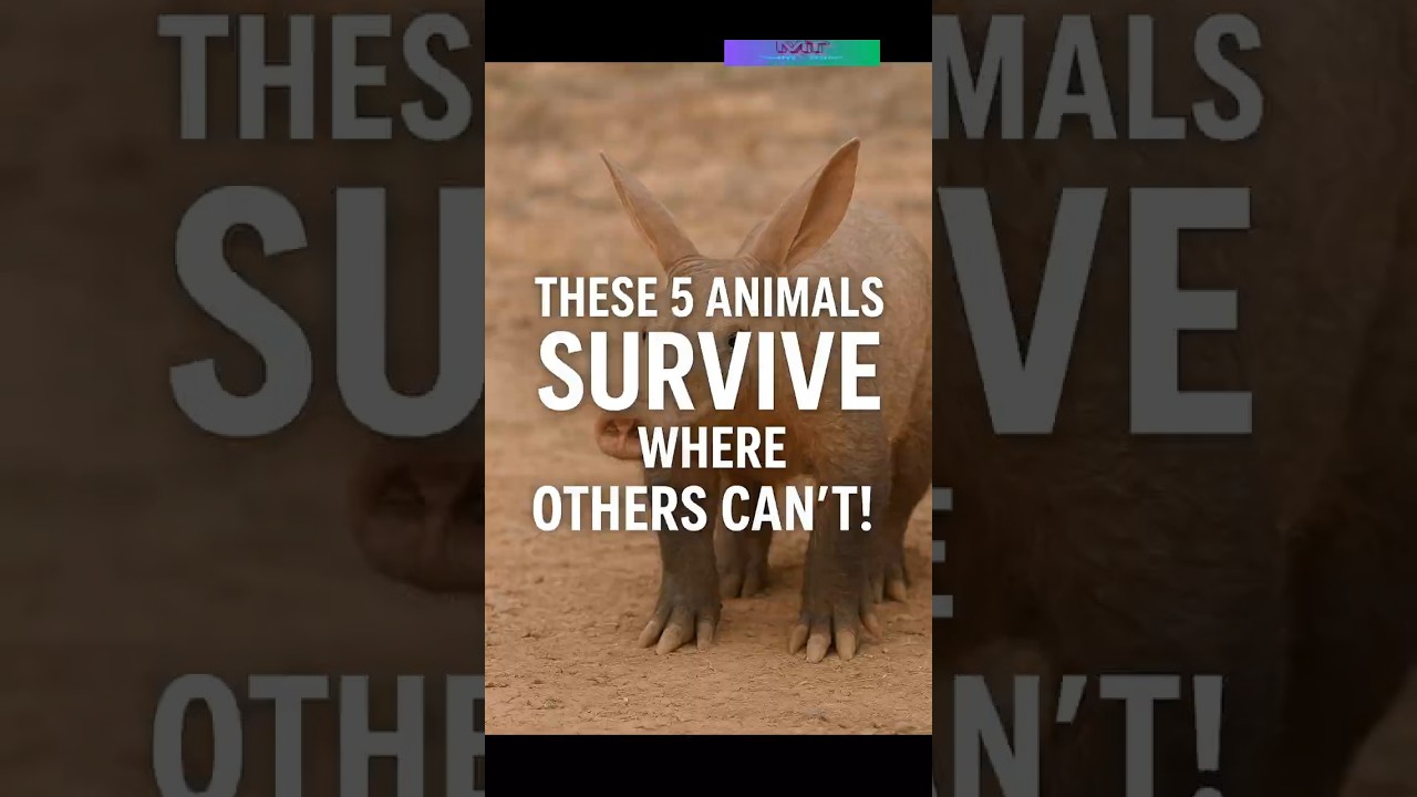 These 5 Animals Survive Where Others Can't! 