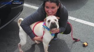 Cop Slashes Captured Dog's Throat