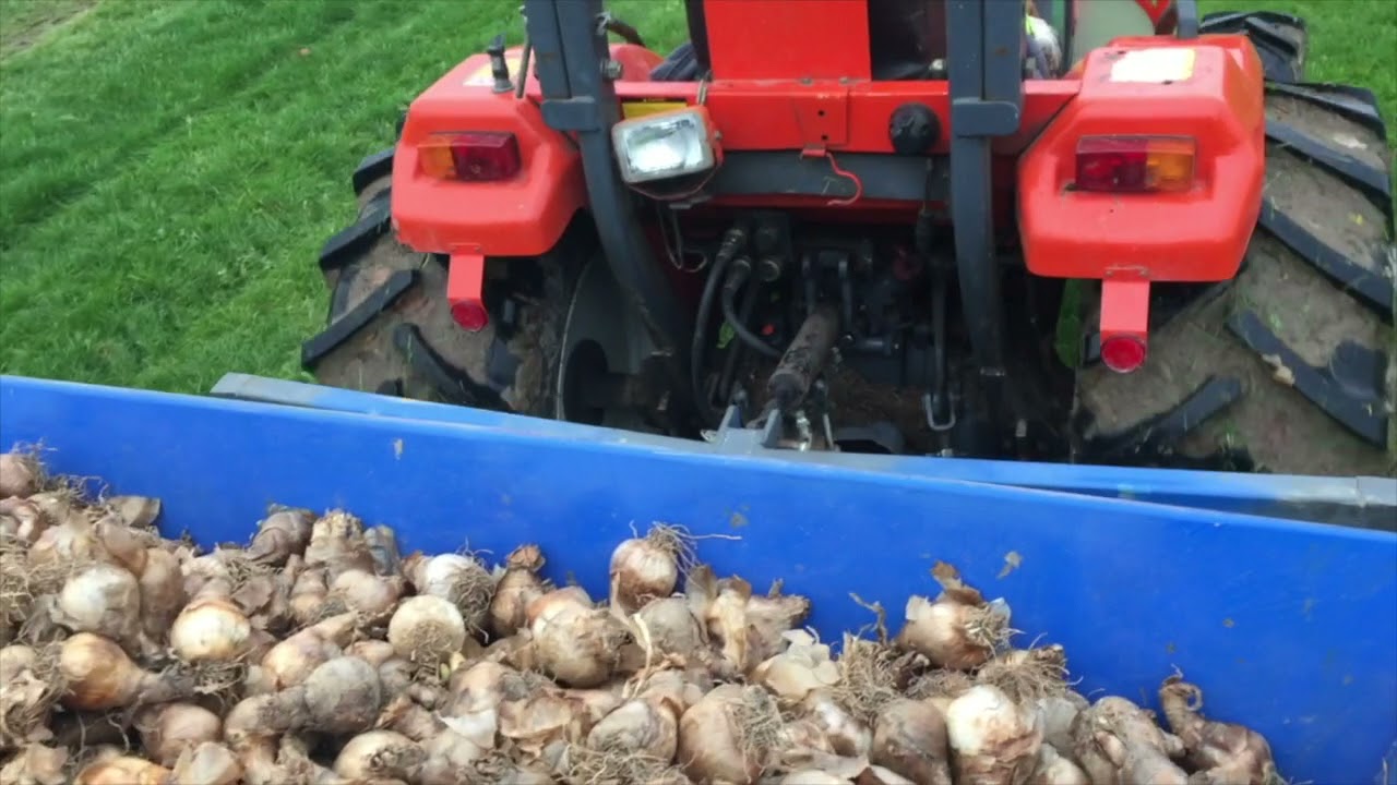 Beechill Bulbs Mechanical Planter