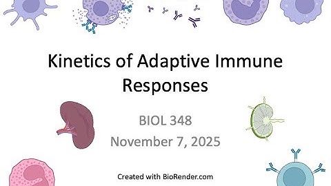 Immunology Fall 2025: Lecture 26 Immune Response Kinetics