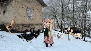 Snowy Winter Day in a Beautiful Village and Daily Life of People