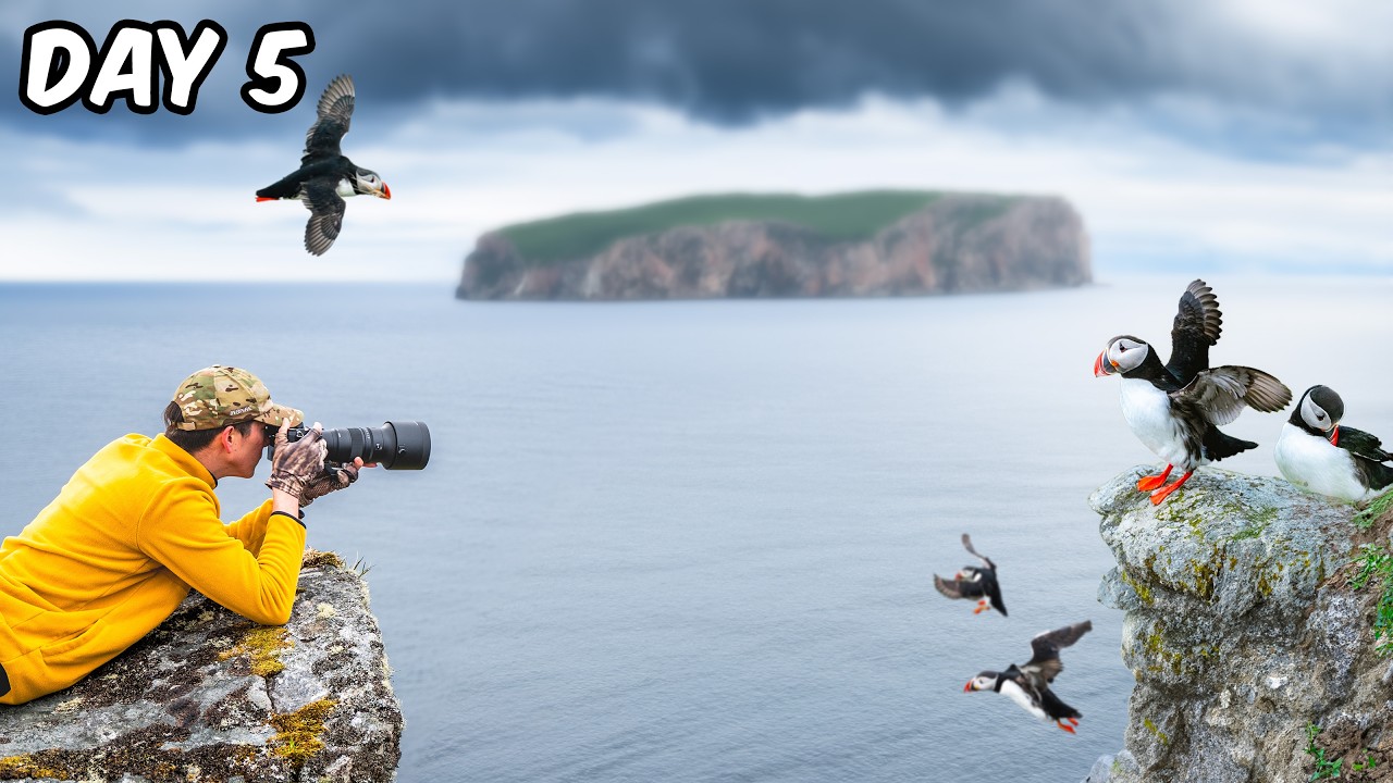 Я посетил остров тупиков в Норвегии