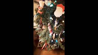 Celebrity Bobby Cat vs Christmas Tree 2018 Wealth
