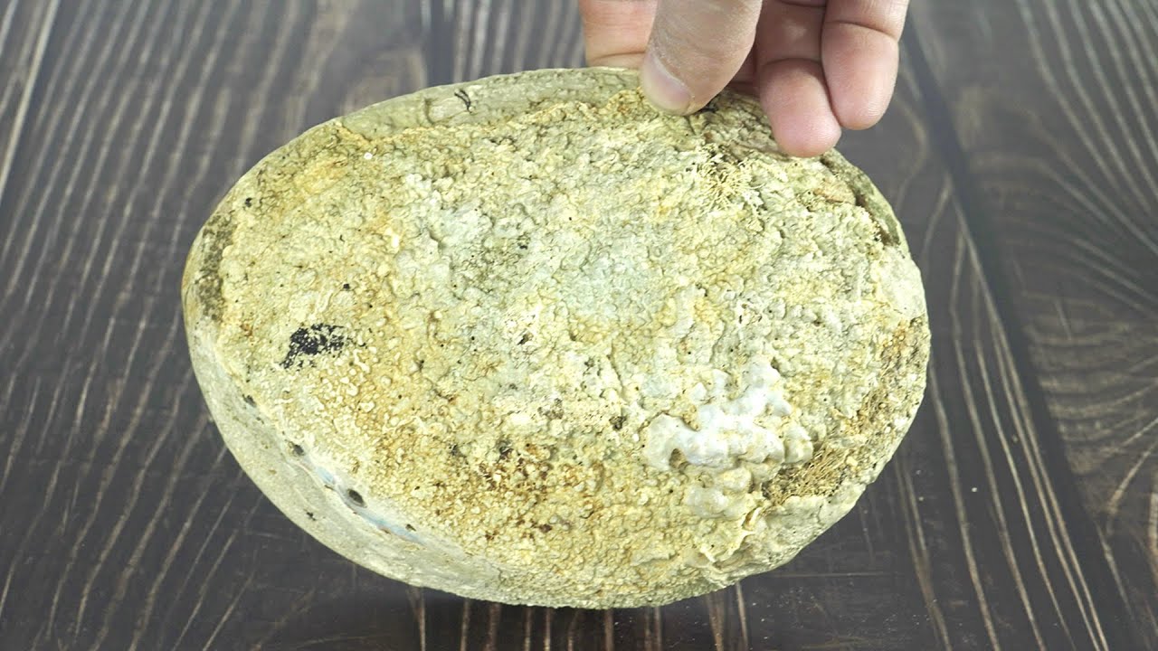 Полировка раковины большого морского ушка вручную - расслабляющее видео