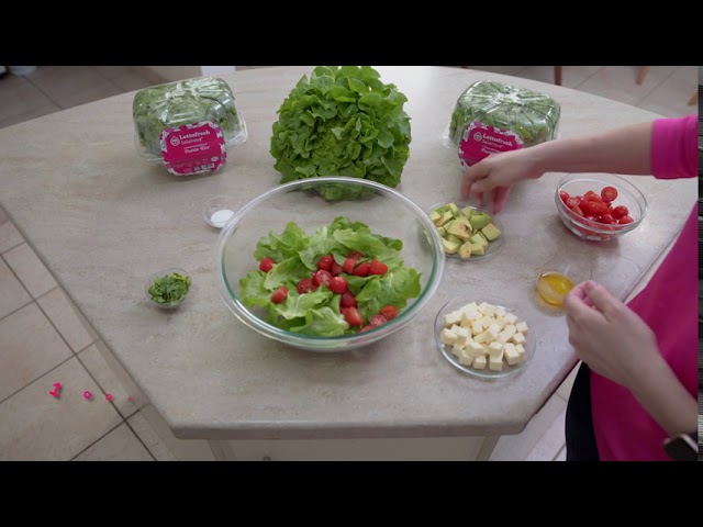 Lettufresh: Lechuga hidropónica Salanova – Ensalada fresca de verano