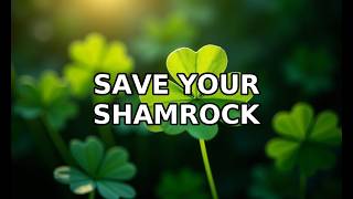 Details Shamrock Plant Care: 9 Common Problems and Solutions Guide