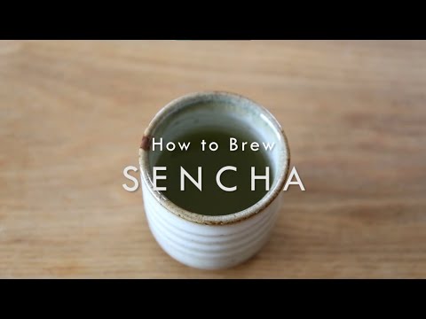 Easy Tutorial: How to Brew Sencha Green Tea Correctly